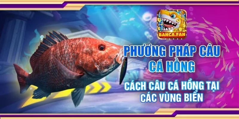 Phương Pháp Câu Cá Hồng – Cách Câu Cá Hồng Tại Các Vùng Biển