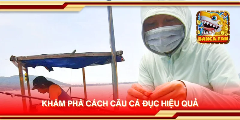 Khám phá cách câu cá đục hiệu quả