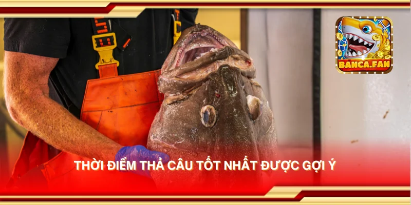 Thời điểm thả câu tốt nhất được gợi ý