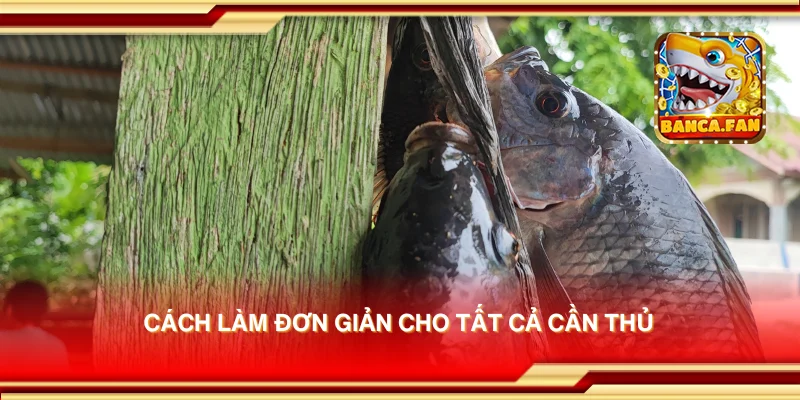 Cách làm đơn giản cho tất cả cần thủ