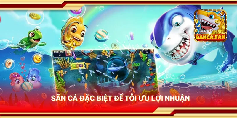 Săn cá đặc biệt để tối ưu lợi nhuận
