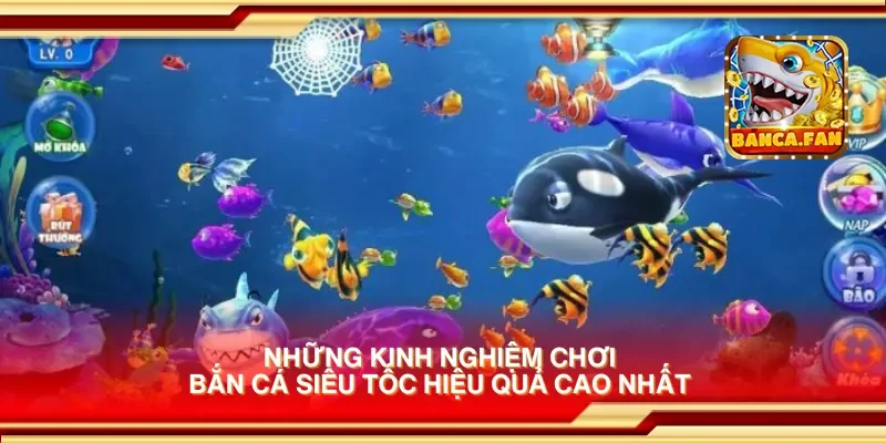 Những kinh nghiệm chơi bắn cá siêu tốc hiệu quả cao nhất